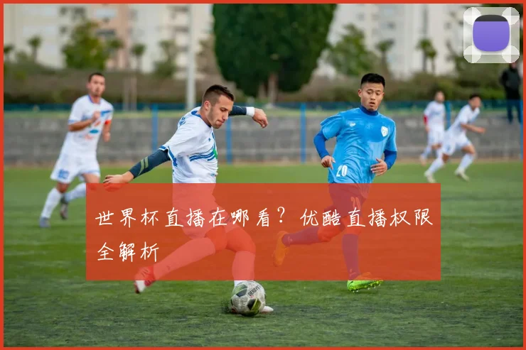 世界杯直播在哪看？优酷直播权限全解析