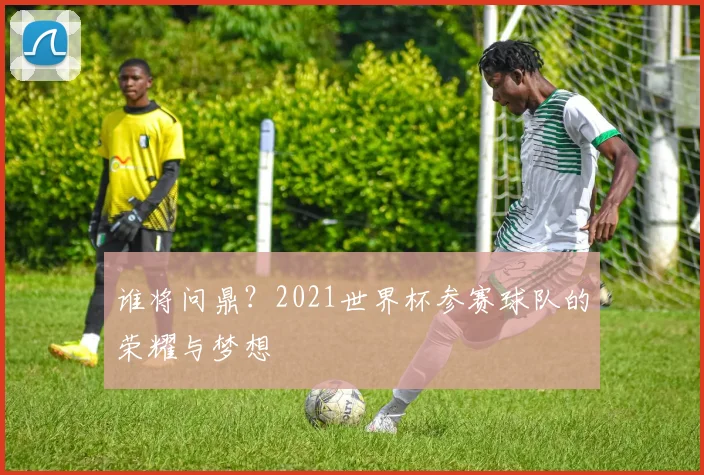 谁将问鼎？2021世界杯参赛球队的荣耀与梦想