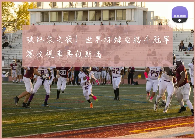 破纪录之夜!世界杯综合格斗冠军赛收视率再创新高