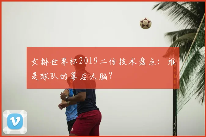 女排世界杯2019二传技术盘点:谁是球队的幕后大脑?