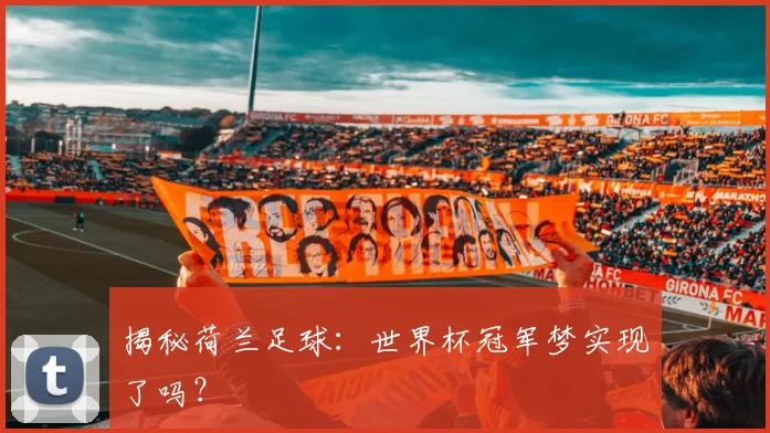 揭秘荷兰足球：世界杯冠军梦实现了吗？